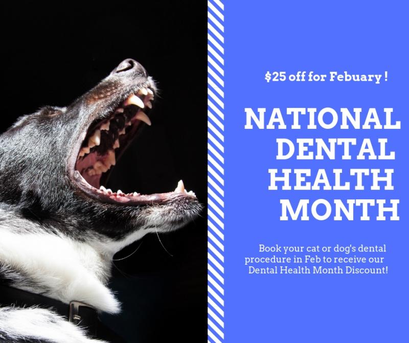 Save 25 in February for National Dental Health Month! PenBay Pilot